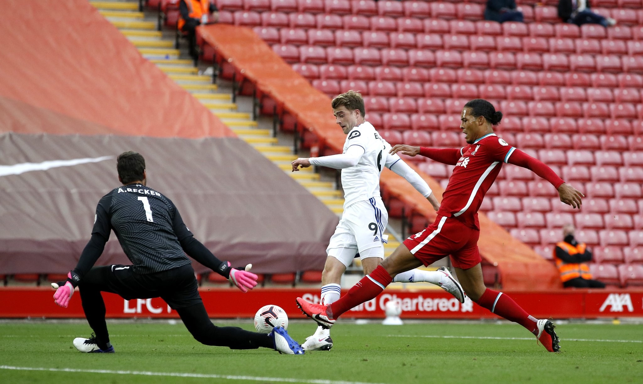 们的青睐 们的青睐